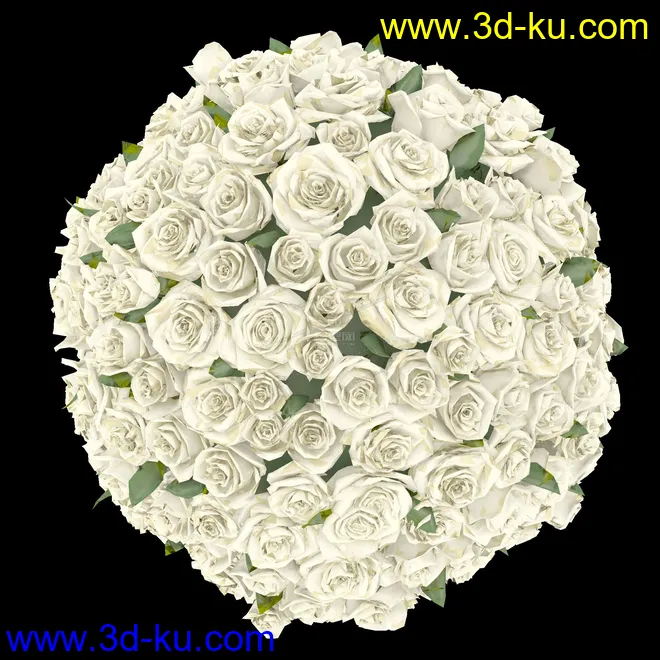 白色玫瑰花球~模型的图片2