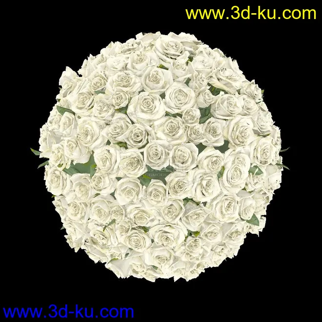 白色玫瑰花球~模型的图片4