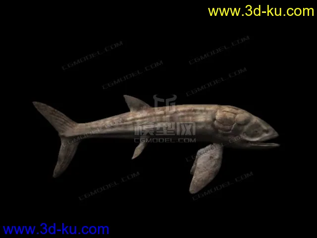 远古时期利兹鱼模型的图片1