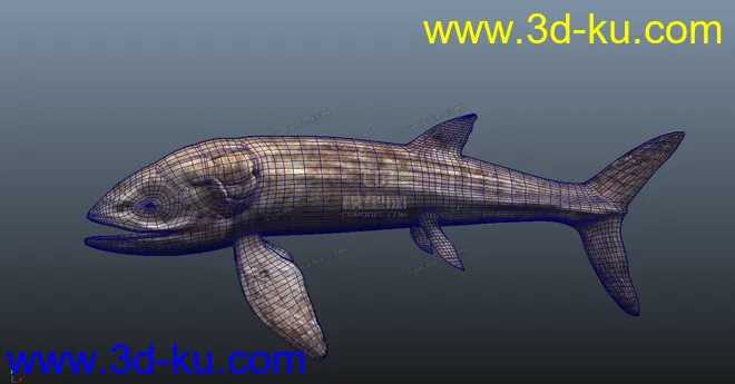 远古时期利兹鱼模型的图片3