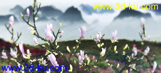 兰花-桃花-仙境-青苔-花瓣-杏花模型的图片2