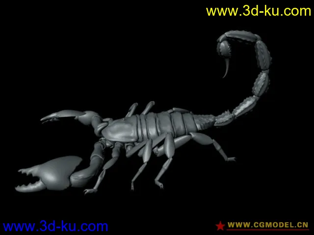 超精细蝎子模型的图片1