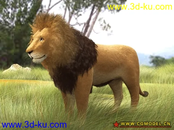 lion模型的图片1