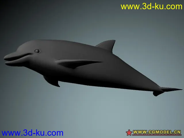海豚模型的图片1