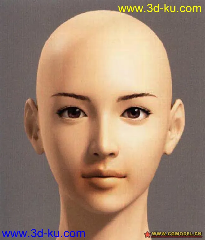 女人精美人头模型的图片1