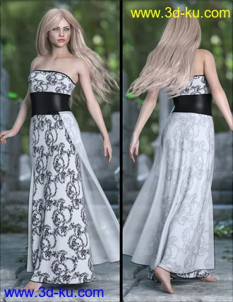 3D打印模型VYK dForce Gothic Fantasy Dress for Genesis 8 Females的图片