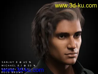 3D打印模型dforce Rogue Waves Hair for Genesis 8, Genesis 8.1 and Genesis 3 Males的图片