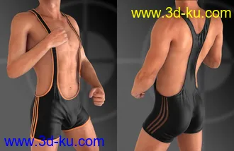 3D打印模型Mec4D Wrestler Suit for Genesis 2 Male(s)的图片