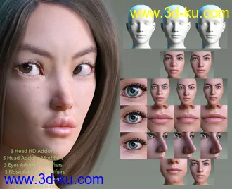 Natural Women and Morphs Addons for Genesis 8 Female模型的图片24