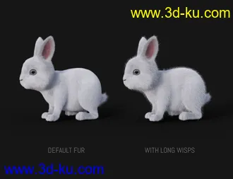 3D打印模型Pufflet The Bunny的图片