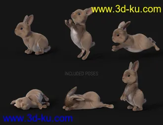 3D打印模型Pufflet The Bunny的图片