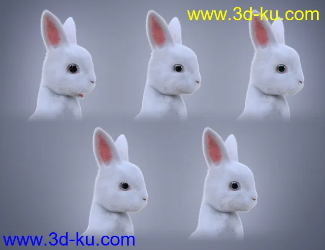 Pufflet The Bunny模型的图片14