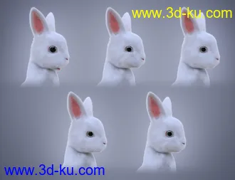 3D打印模型Pufflet The Bunny的图片