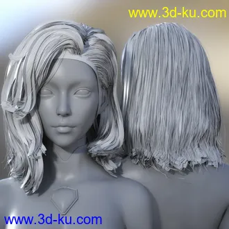 3D打印模型Rera and Rera Hair for Genesis 8 Females的图片