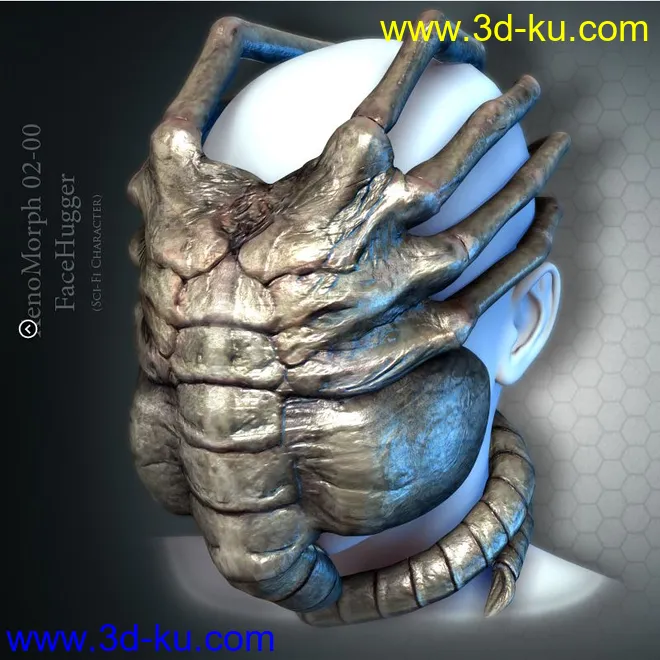 XenoMorph 02-00 FaceHugger模型的图片1