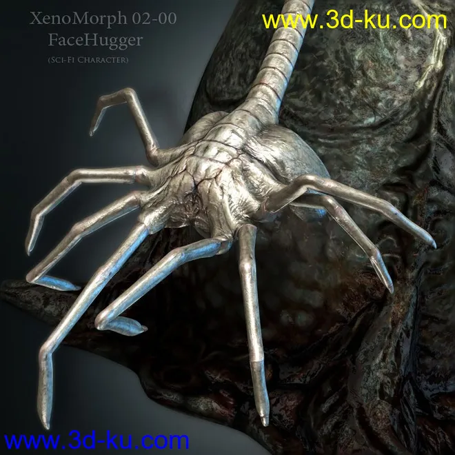 XenoMorph 02-00 FaceHugger模型的图片3