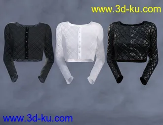 3D打印模型dForce GF Womens Wear Series One Bundle for Genesis 8 and 8.1 Females的图片