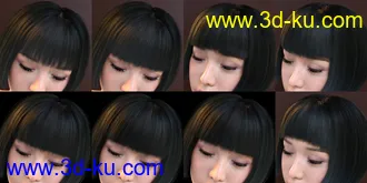 3D打印模型FE Classic Bob Hair for Genesis 8 and 8.1 Females的图片