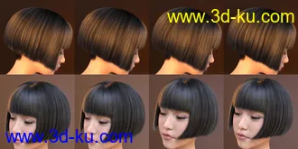 3D打印模型FE Classic Bob Hair for Genesis 8 and 8.1 Females的图片