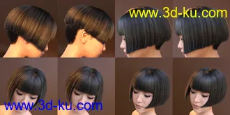 3D打印模型FE Classic Bob Hair for Genesis 8 and 8.1 Females的图片