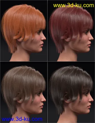 3D打印模型Hong Hair for Genesis 8.1 Female的图片