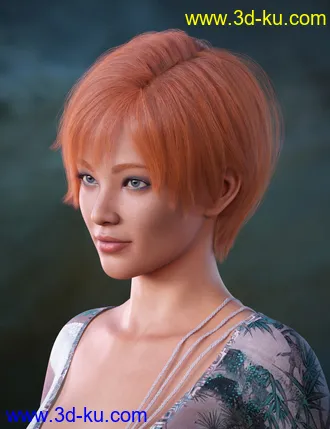 3D打印模型Hong Hair for Genesis 8.1 Female的图片