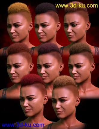 3D打印模型M3DVTO Crest Hair and Earrings for Genesis 8 and 8.1 Females的图片