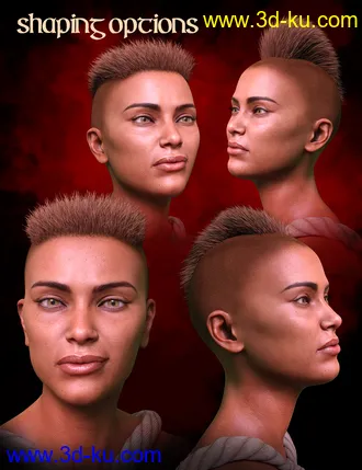 3D打印模型M3DVTO Crest Hair and Earrings for Genesis 8 and 8.1 Females的图片