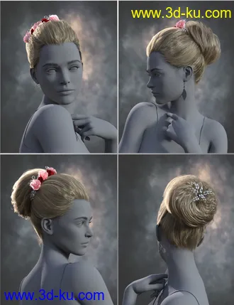 3D打印模型Rose Noel Updo for Genesis 8 and 8.1 Females的图片