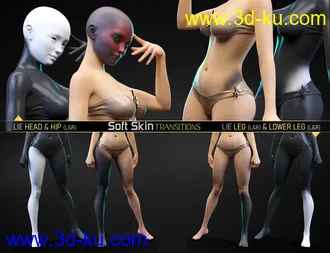 3D打印模型Soft Skin Transitions for Genesis 8 and 8.1 Females的图片