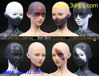 3D打印模型Soft Skin Transitions for Genesis 8 and 8.1 Females的图片