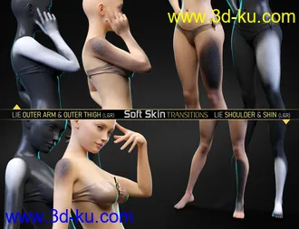 3D打印模型Soft Skin Transitions for Genesis 8 and 8.1 Females的图片