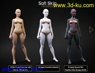 3D打印模型Soft Skin Transitions for Genesis 8 and 8.1 Females的图片