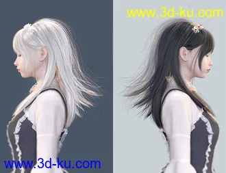 3D打印模型SU Long, Straight Hair for Genesis 8 and 8.1 Females的图片