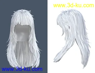 3D打印模型SU Long, Straight Hair for Genesis 8 and 8.1 Females的图片