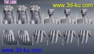 3D打印模型The Look HD Body Morph Resource for Genesis 8 and 8.1 Female的图片