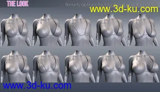 3D打印模型The Look HD Body Morph Resource for Genesis 8 and 8.1 Female的图片