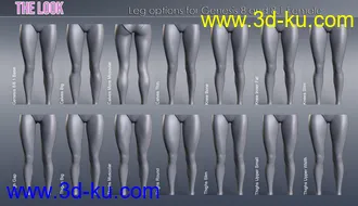 3D打印模型The Look HD Body Morph Resource for Genesis 8 and 8.1 Female的图片