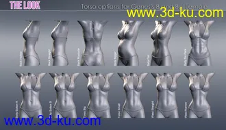 3D打印模型The Look HD Body Morph Resource for Genesis 8 and 8.1 Female的图片