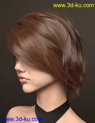 3D打印模型Uerica Hair for Genesis 8 and 8.1 Females的图片