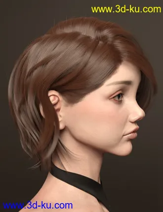 3D打印模型Uerica Hair for Genesis 8 and 8.1 Females的图片