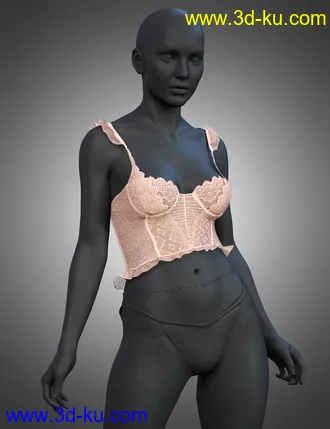 3D打印模型X-Fashion Dreams Mesh Lingerie Top for Genesis 8 Females的图片