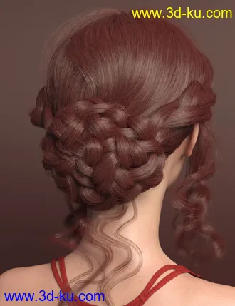 3D打印模型Xue Hair for Genesis 8 and 8.1 Females的图片