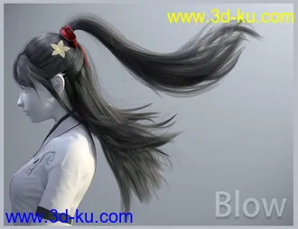 Sue Yee Half Shawl Long Hair for Genesis 8 and 8.1,DAZ模型的图片22