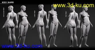 3D打印模型Body Diversity Morphs for Genesis 8 Female(s)的图片