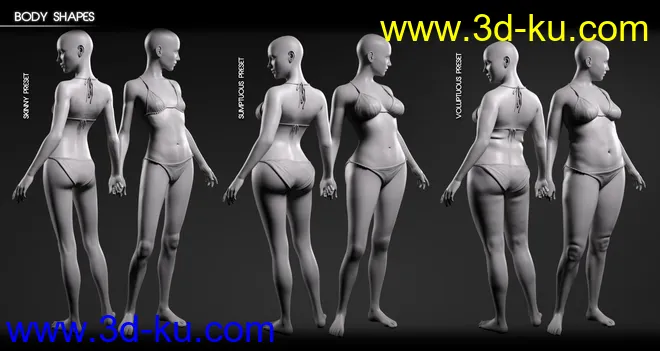 Body Diversity Morphs for Genesis 8 Female(s)模型的图片5