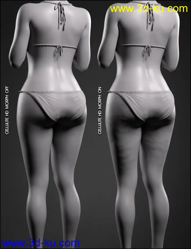 Body Diversity Morphs for Genesis 8 Female(s)模型的图片9