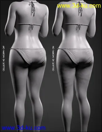 3D打印模型Body Diversity Morphs for Genesis 8 Female(s)的图片