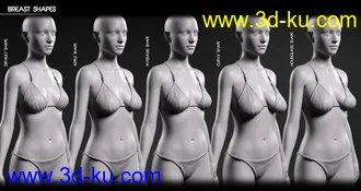 3D打印模型Body Diversity Morphs for Genesis 8 Female(s)的图片