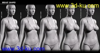 3D打印模型Body Diversity Morphs for Genesis 8 Female(s)的图片